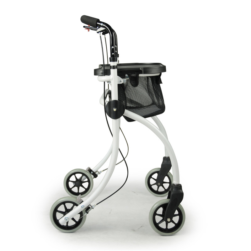 Indoor-Rollator Roomba